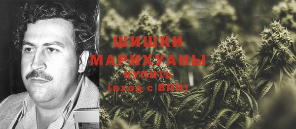 ГАЛЛЮЦИНОГЕННЫЕ ГРИБЫ Балахна
