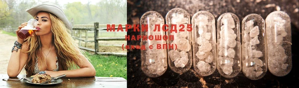 ГАЛЛЮЦИНОГЕННЫЕ ГРИБЫ Балахна