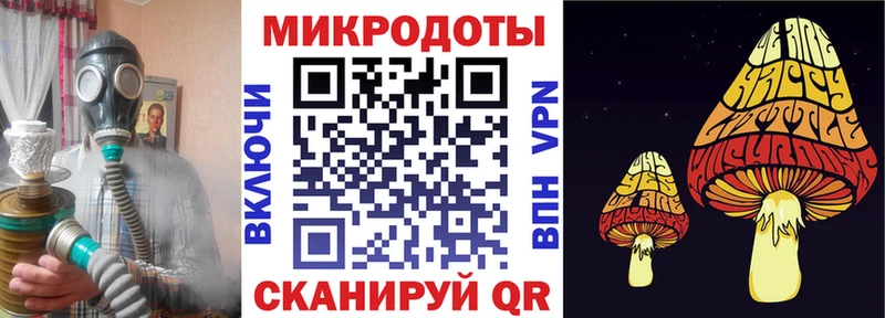 купить наркотики цена  Новотитаровская  Псилоцибиновые грибы Psilocybine cubensis 